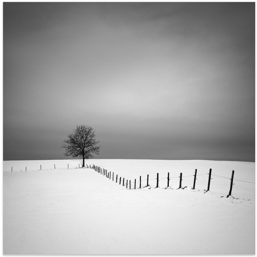 Alignment