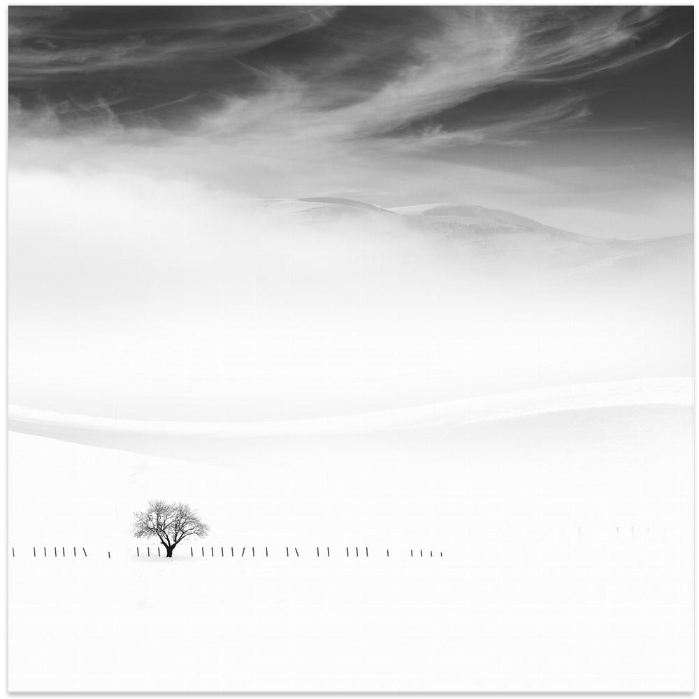Poems of silence