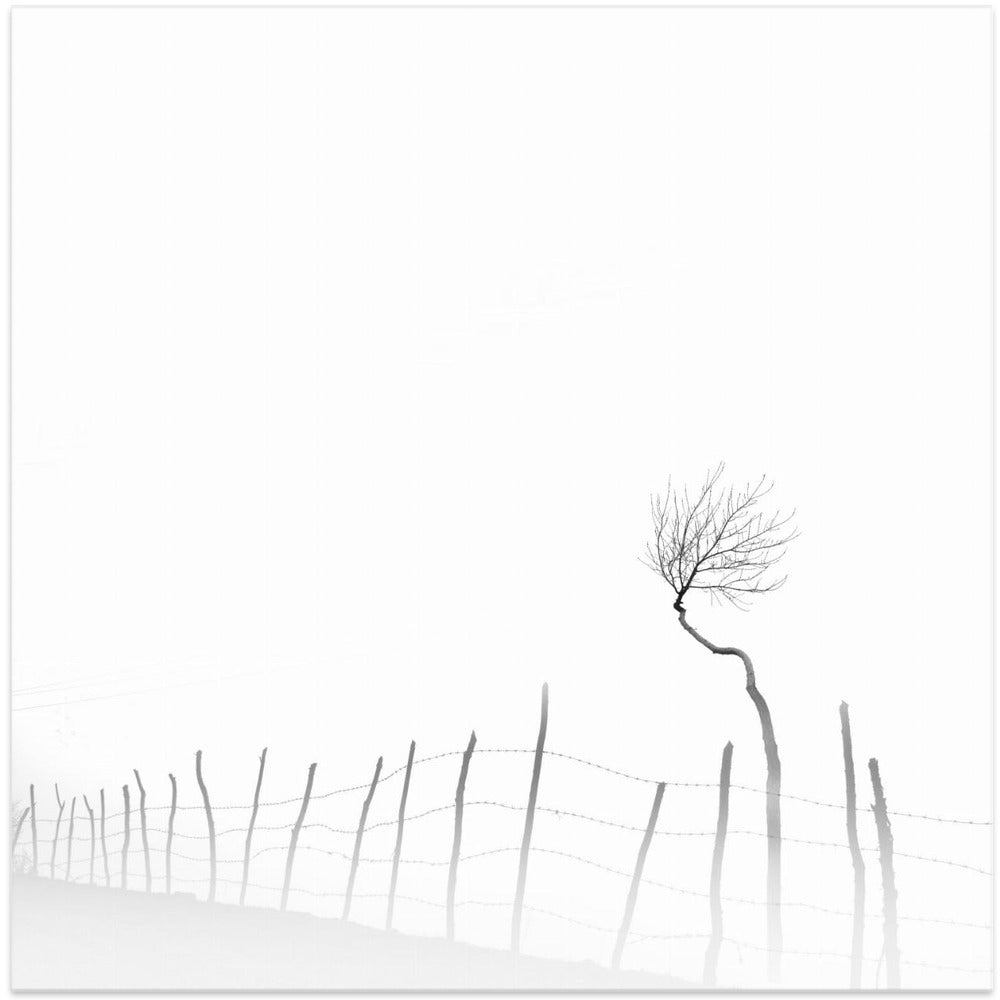 Silence