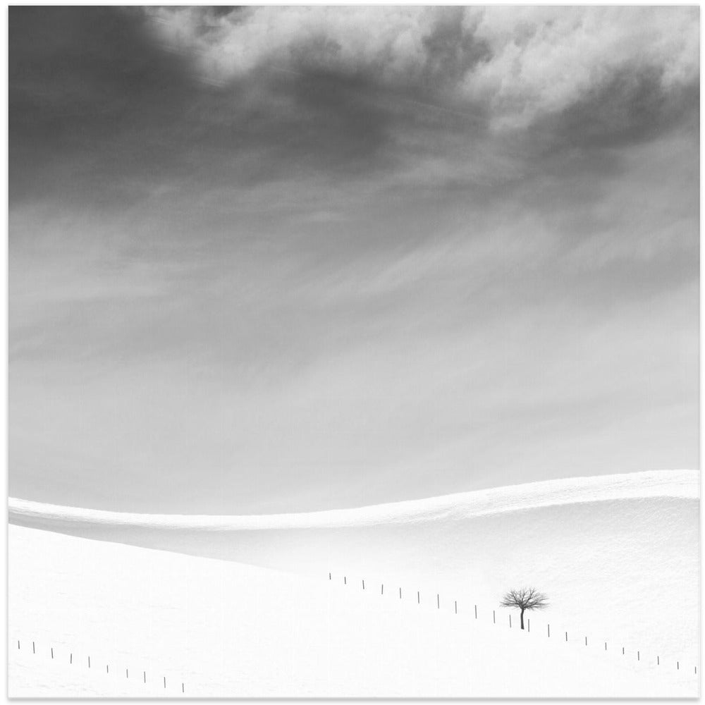Single tree