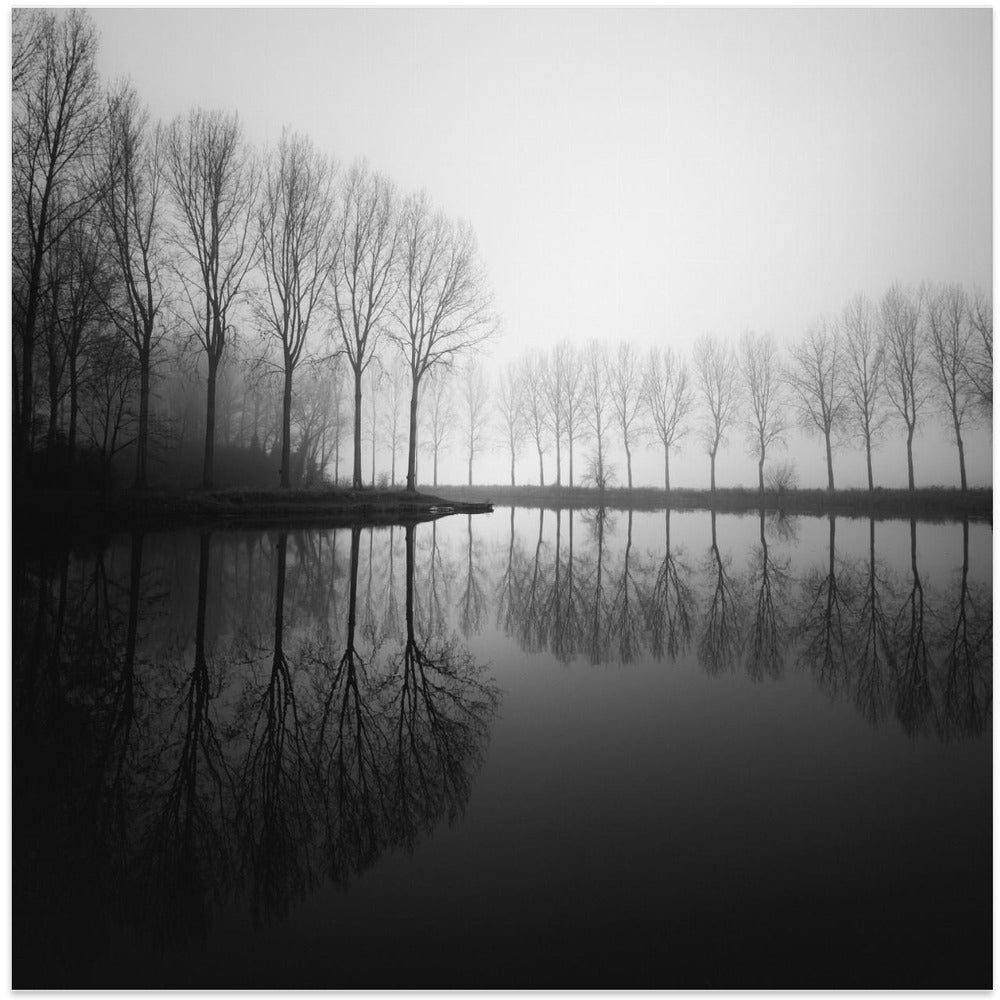 In dreams