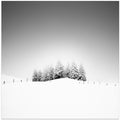 Cohesion