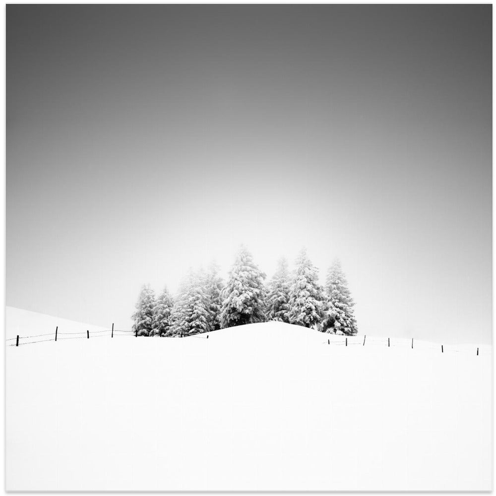 Cohesion