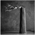 Chimney