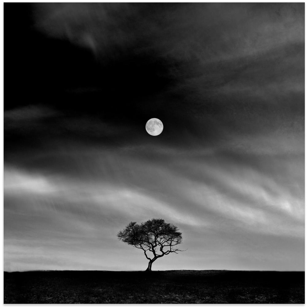 Stories under the Moon (No.5)