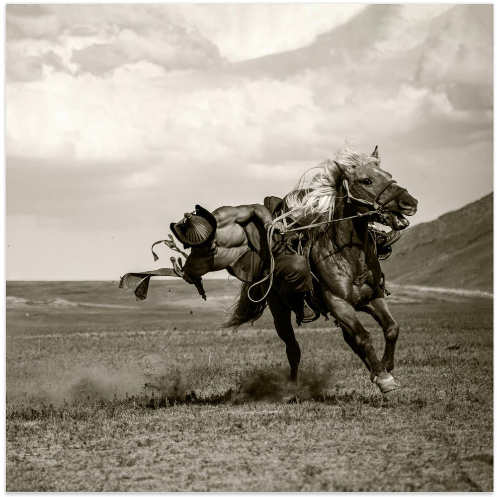 Canvas Art Print Galloping