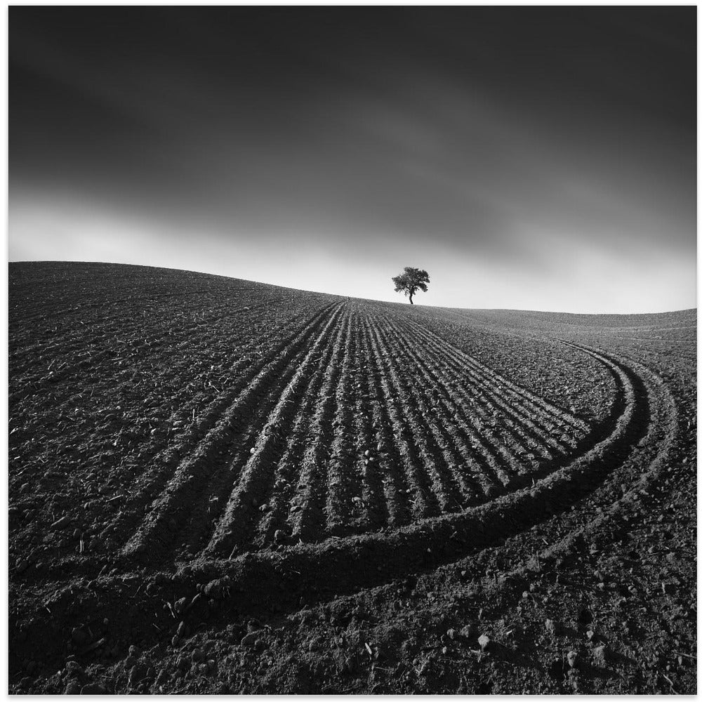 Radius