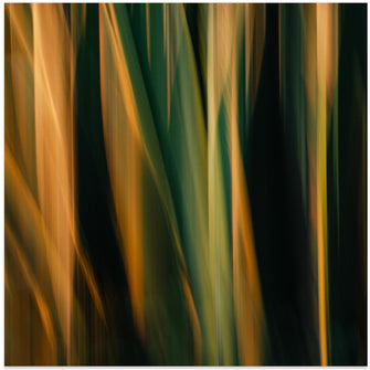 Art Prints of Painted Flames