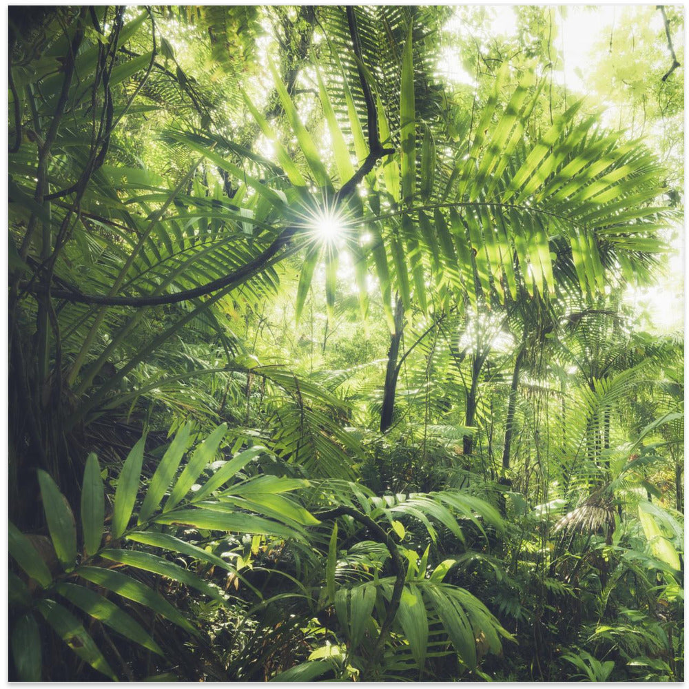 Jungle Flair