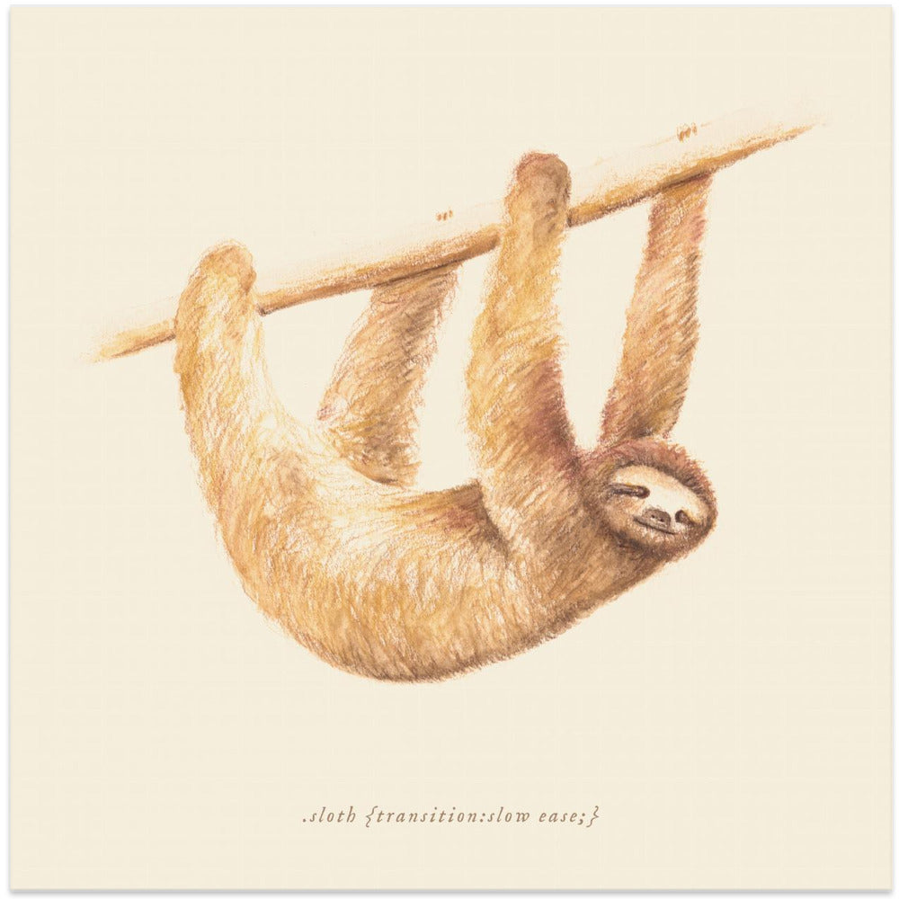 Css Animals   Sloth