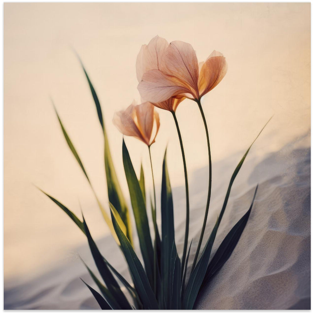 Desert Bloom Elegance