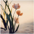 Petals in Sandlight