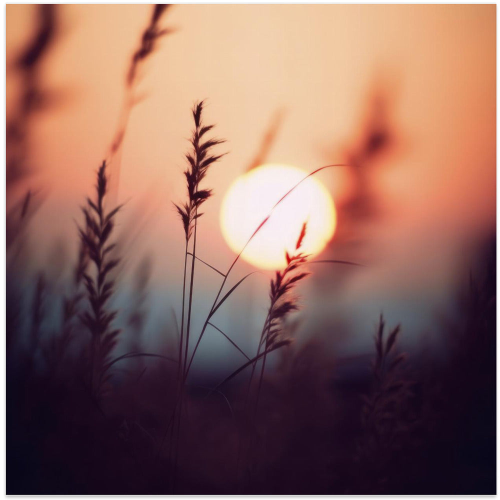 Sunset Whispers