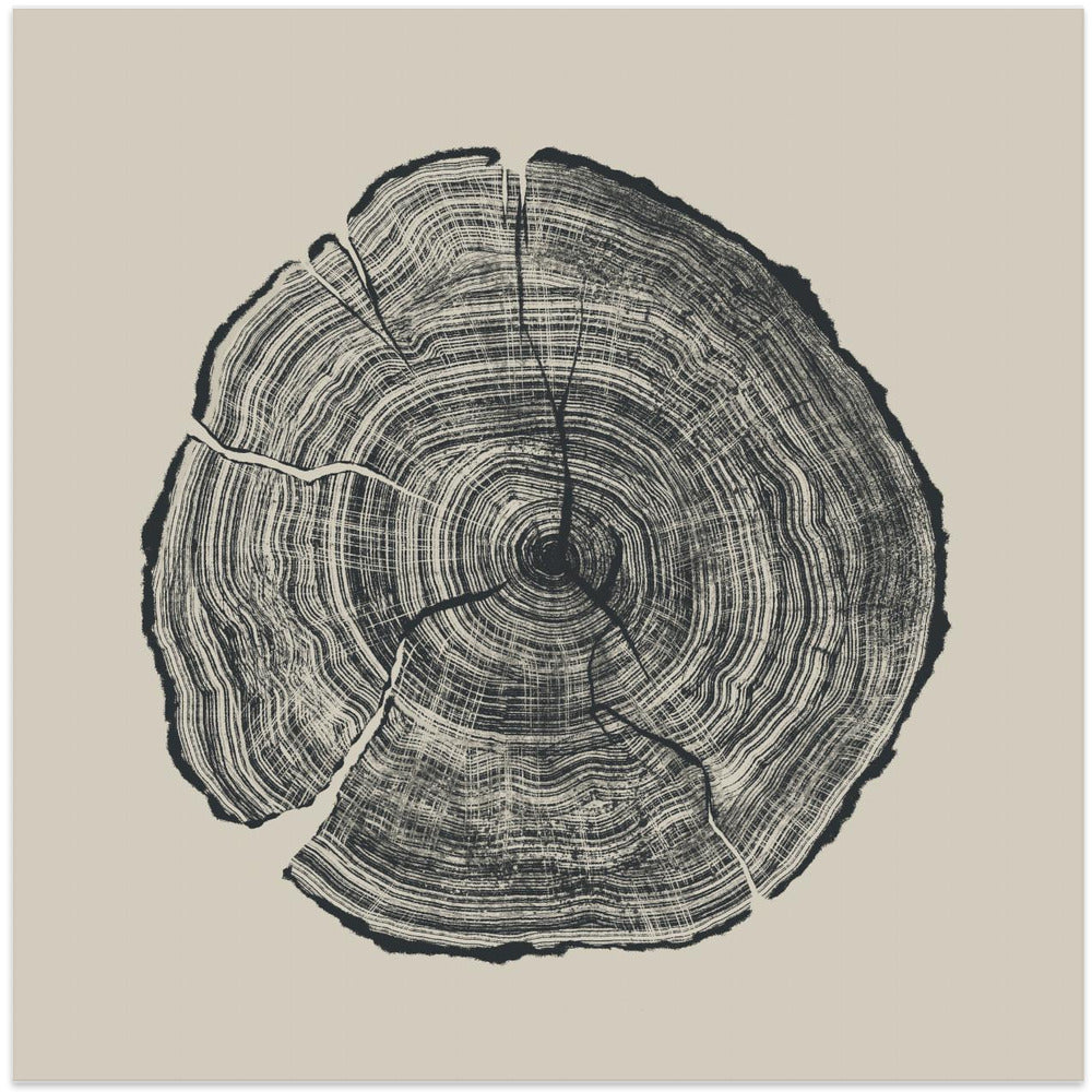 Hand Drawn Oak