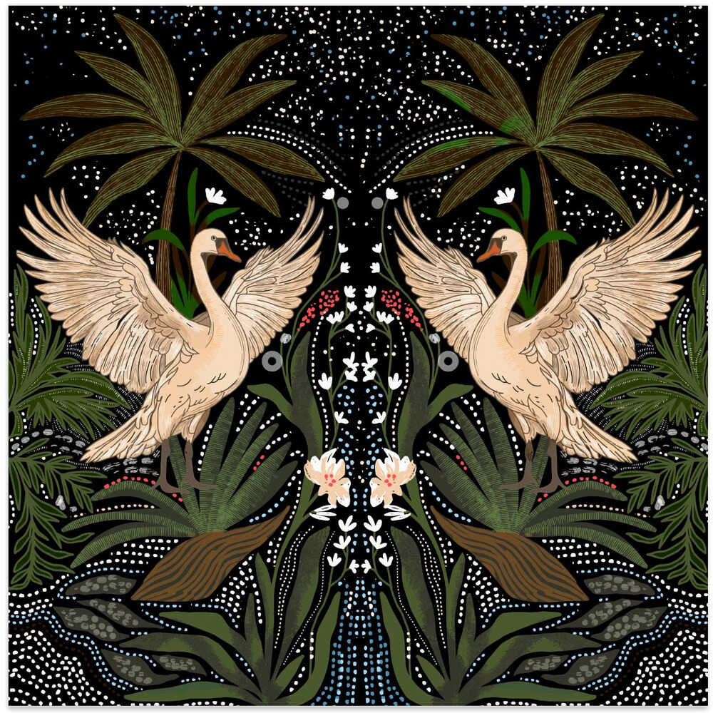 Swan Dance