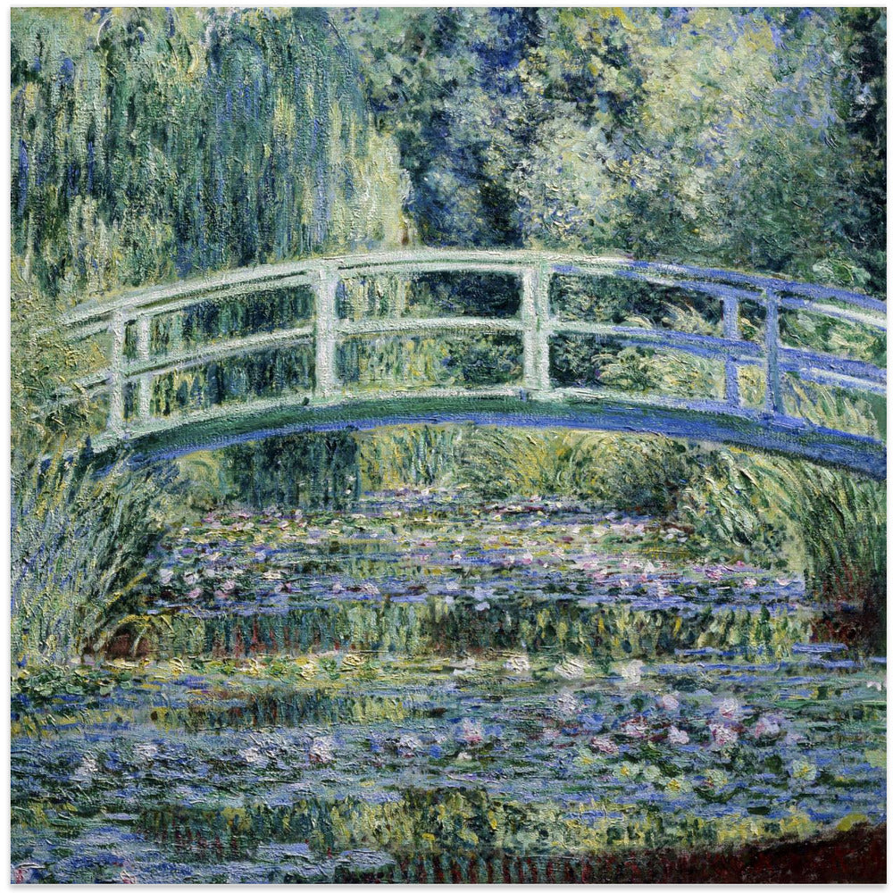 Water Lily Pond