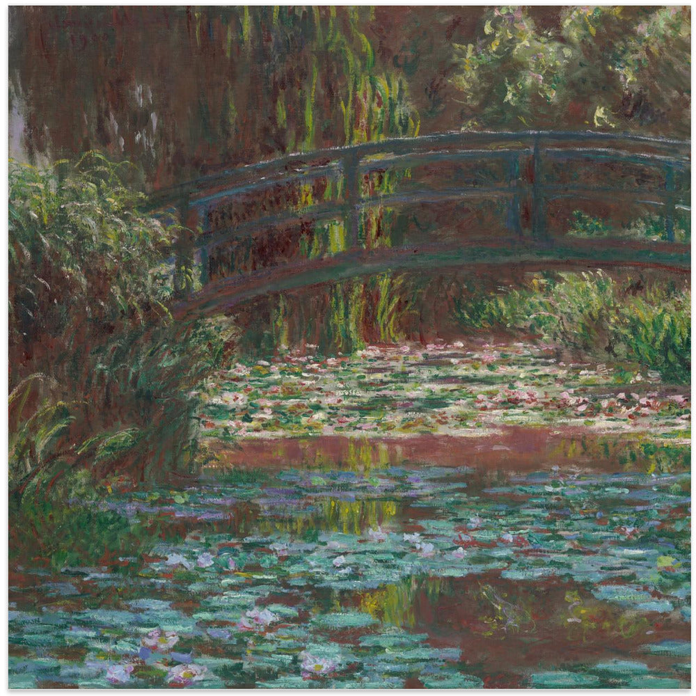 Water Lily Pond