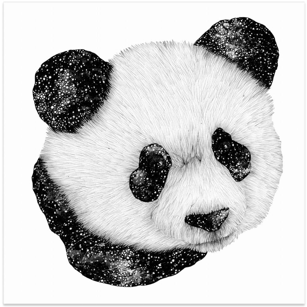 Cosmic Panda Square