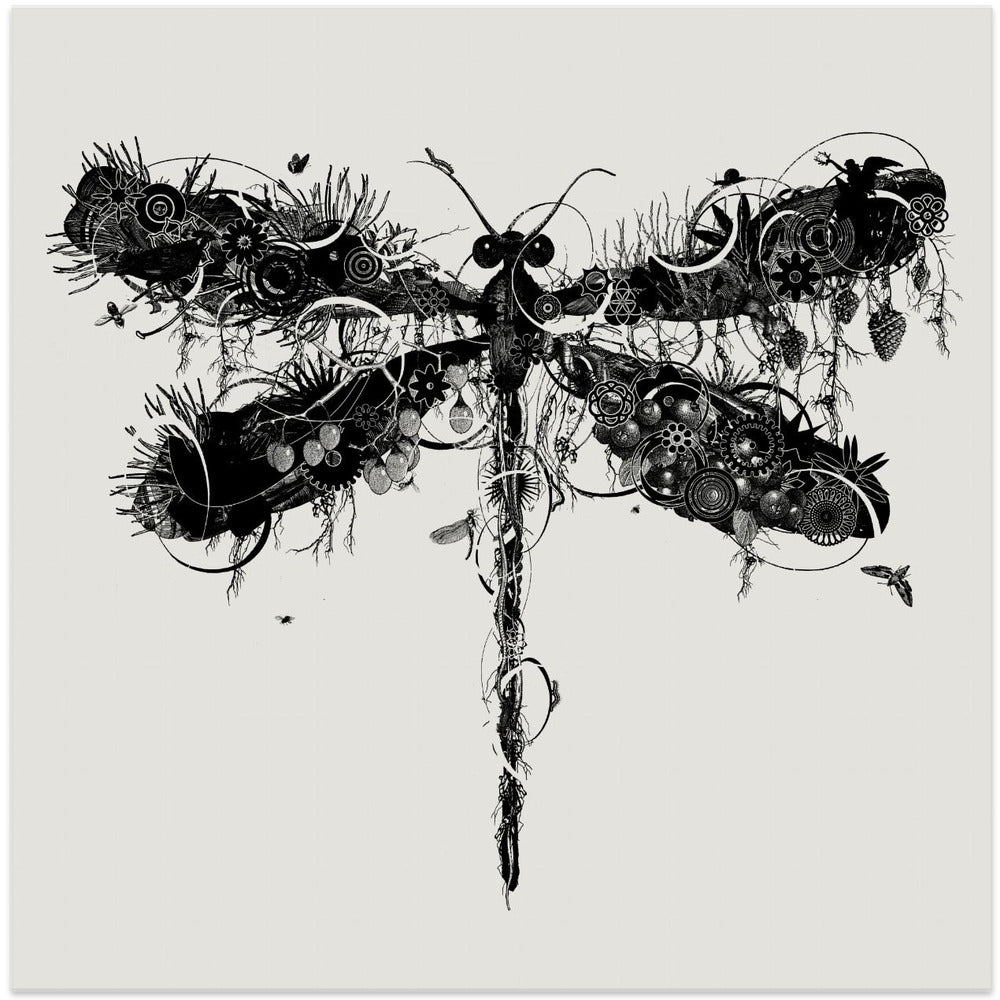 Dragonfly