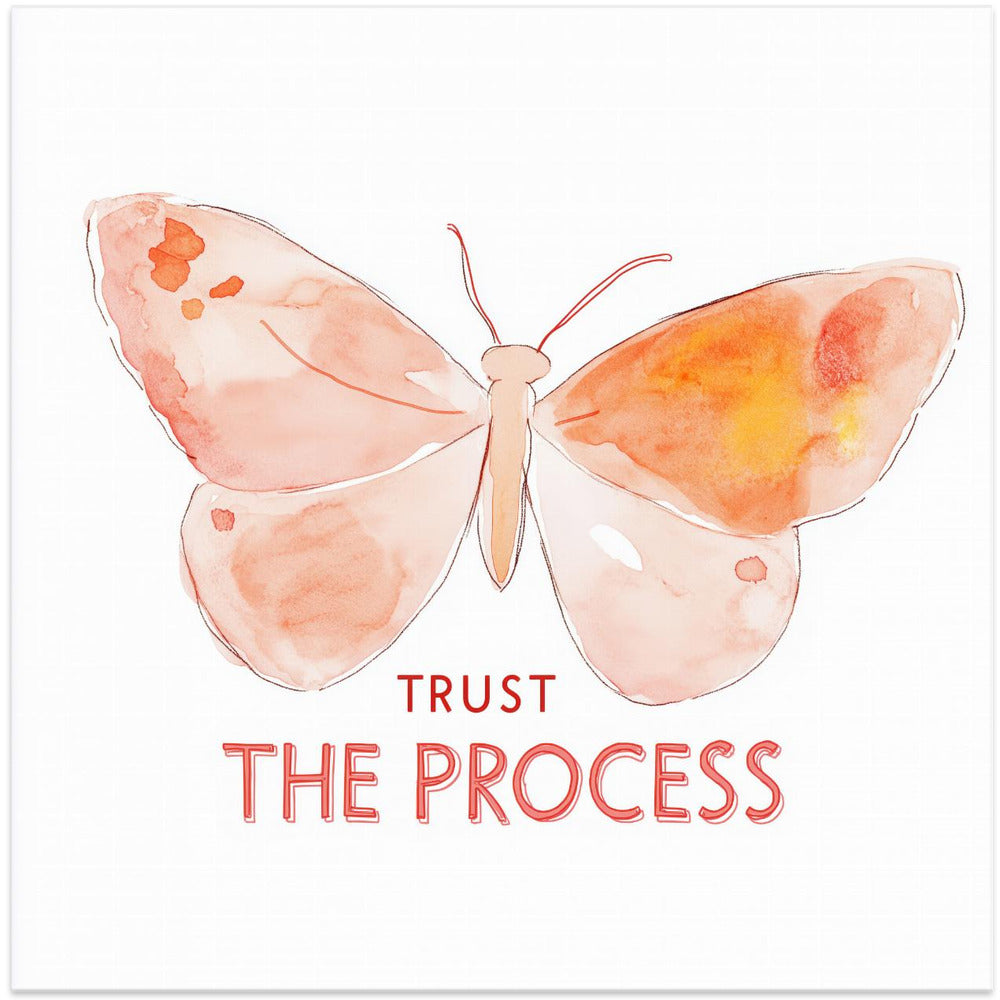 Butterfly Journey