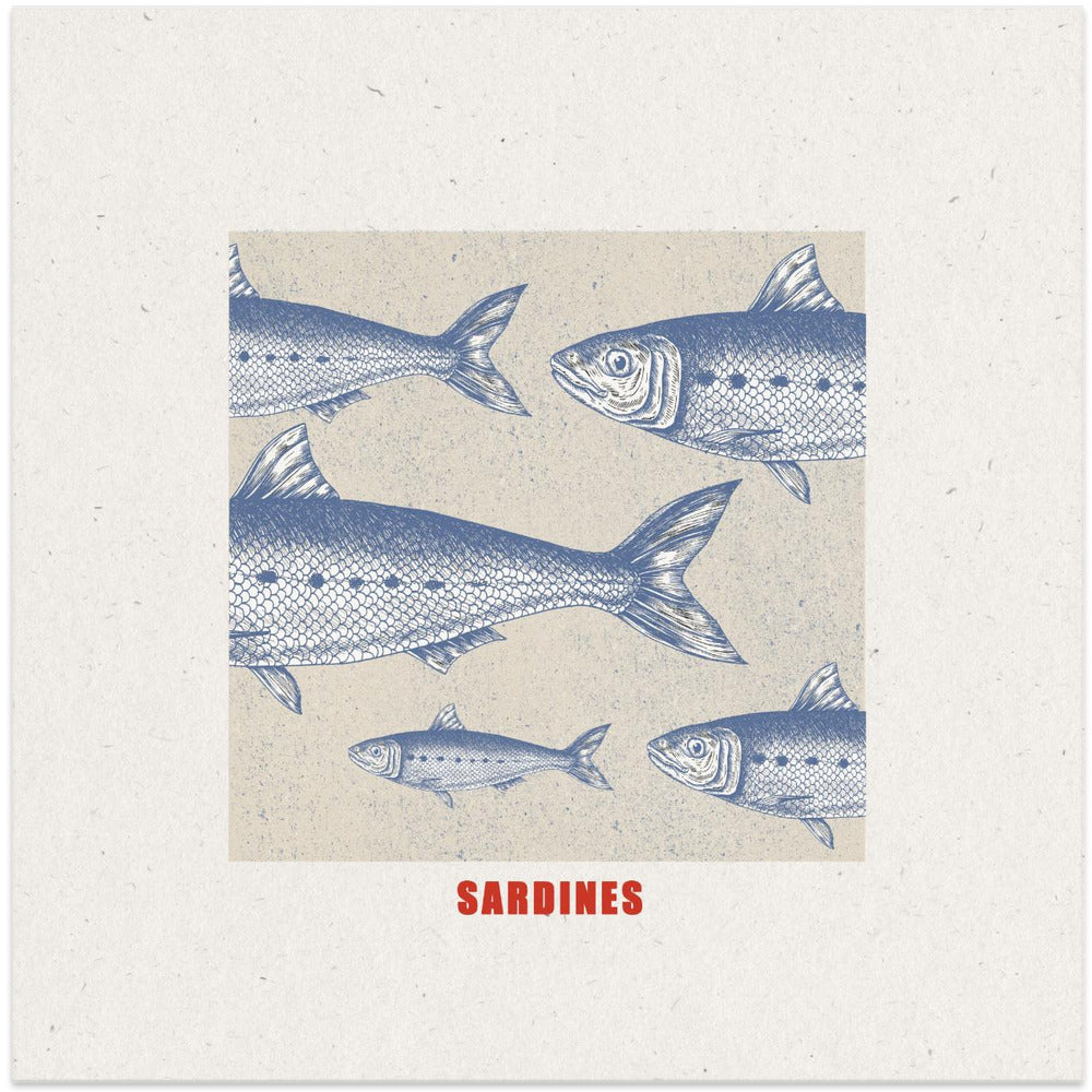 Blue Fish Harmony