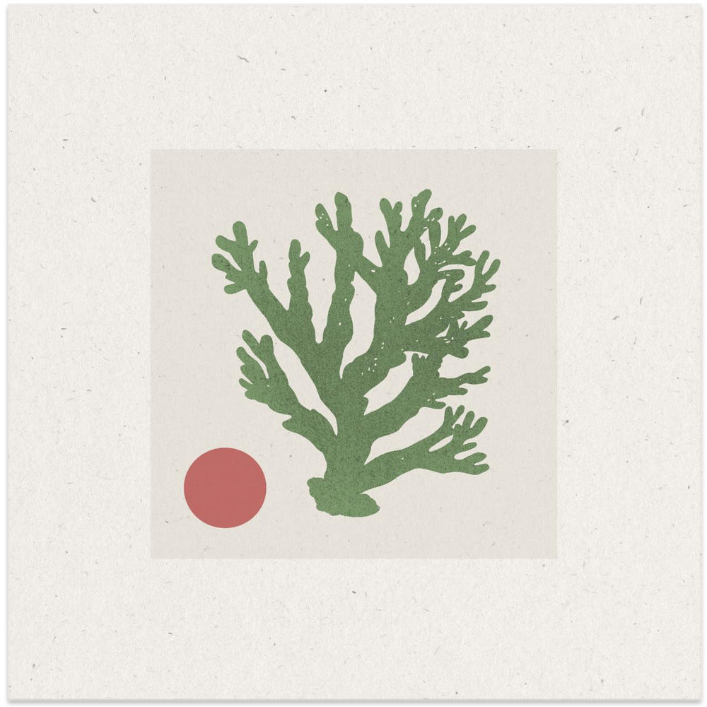 Coral and Sun