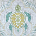 Green Sea Turtle