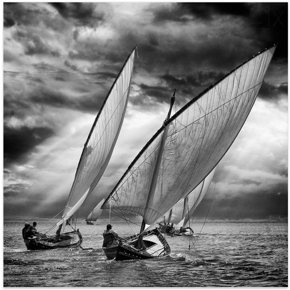 Sailboats and Light