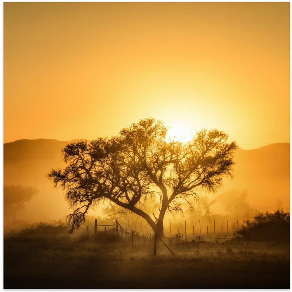 Golden Sunrise